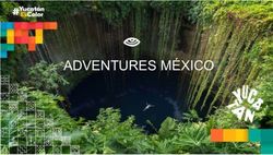 ADVENTURES MÉXICO - yucatan.travel
