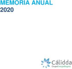 MEMORIA ANUAL 2020 - C&aacute;lidda