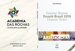 Dossier Brasile Dossi&ecirc; Brasil 2019 - Dossier Brazil - Abirochas