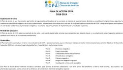 PLAN DE ACCION ECPA 2018-2019