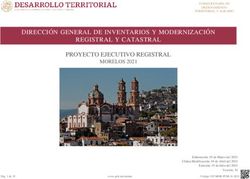 DIRECCI&Oacute;N GENERAL DE INVENTARIOS Y MODERNIZACI&Oacute;N REGISTRAL Y CATASTRAL PROYECTO EJECUTIVO REGISTRAL