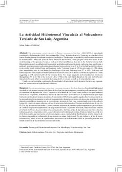 La Actividad Hidrotermal Vinculada al Volcanismo Terciario de San Luis, Argentina