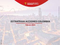 ESTRATEGIA ACCIONES COLOMBIA - Febrero 2020 - Davivienda Corredores