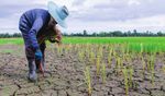 PERSPECTIVAS MACROECON&Oacute;MICAS - 2018 / 2019 COLOMBIA - Davivienda