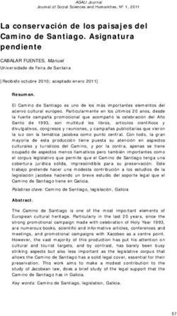 La conservaci&oacute;n de los paisajes del Camino de Santiago. Asignatura pendiente