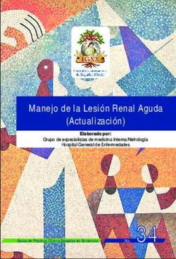 Manejo de la Lesi&oacute;n Renal Aguda (Actualizaci&oacute;n) - IGSS