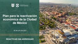 Plan para la reactivaci&oacute;n econ&oacute;mica de la Ciudad de M&eacute;xico - REACTIVAR SIN ARRIESGAR