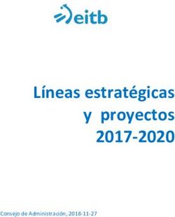 Líneas estratégicas y proyectos 2017-2020 - Consejo de Administración, 2018-11-27