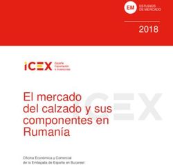El mercado del calzado y sus componentes en Ruman&iacute;a 2018 - CTCR