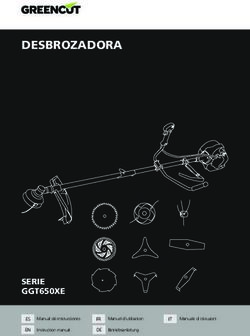 DESBROZADORA - SERIE GGT650XE
