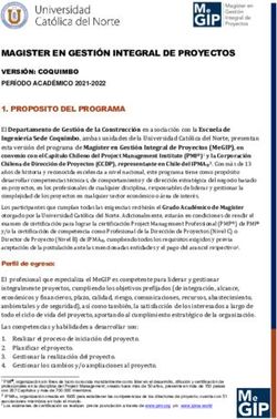 MAGISTER EN GESTIÓN INTEGRAL DE PROYECTOS