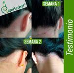 PORTAFOLIO CAPIHERBAL - @capiherbal 3192526853 @capi.herbal - ConnectAmericas