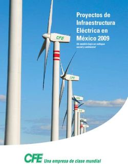 Proyectos de Infraestructura El&eacute;ctrica en M&eacute;xico 2009 - Un modelo bajo un enfoque social y ambiental