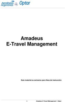 Amadeus E-Travel Management