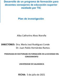 Desarrollo de un programa de formaci&oacute;n para docentes consejeros de educaci&oacute;n superior mediado por TIC Plan de investigaci&oacute;n