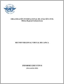 INFORME EJECUTIVO - ORGANIZACIÓN INTERNACIONAL DE AVIACIÓN CIVIL REUNION REGIONAL VIRTUAL DE CAPSCA Oficina Regional Sudamericana - ICAO