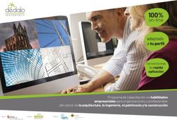 100% on-line de r&aacute;pida aplicaci&oacute;n - herramientas Programa de capacitaci&oacute;n en habilidades empresariales para organizaciones y profesionales - Aeice