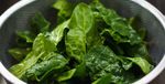 ALIMENTACI&Oacute;N SALUDABLE - RECETAS PARA UNA - Cruz Roja