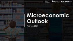 Microeconomic Outlook - Febrero 2021