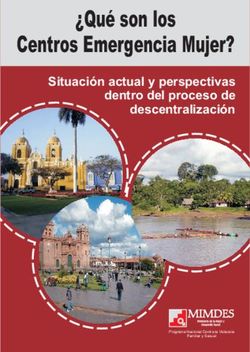 Qué son los Centros Emergencia Mujer? - Situación actual y perspectivas dentro del proceso de descentralización - Ministerio de la ...