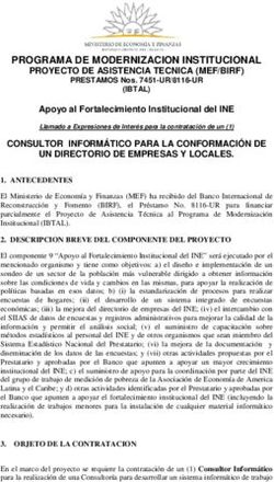 PROGRAMA DE MODERNIZACION INSTITUCIONAL PROYECTO DE ASISTENCIA TECNICA (MEF/BIRF)
