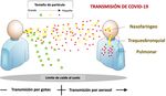 GENERALIDADES VIRUS SARS COV2 - JEANNETTE DABANCH PE&Ntilde;A INTERNISTA INFECTOLOGA HOSPITAL CLINICO U DE CHILE PROGRAMA DE ENFERMEDADES INFECCIOSAS DEL ...