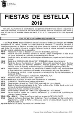 FIESTAS DE ESTELLA 2019 - estella-lizarra.com