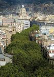 ARBRES PER VIURE Pla director de l'arbrat de Barcelona 2017 - 2037 - Ajuntament ...