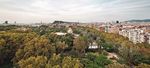 ARBRES PER VIURE Pla director de l'arbrat de Barcelona 2017 - 2037 - Ajuntament ...