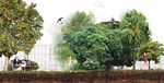 ARBRES PER VIURE Pla director de l'arbrat de Barcelona 2017 - 2037 - Ajuntament ...