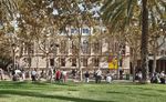 ARBRES PER VIURE Pla director de l'arbrat de Barcelona 2017 - 2037 - Ajuntament ...