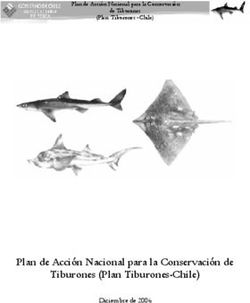 Plan de Acción Nacional para la Conservación de Tiburones (Plan Tiburones-Chile) - Diciembre de 2006