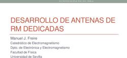 DESARROLLO DE ANTENAS DE RM DEDICADAS - Manuel J. Freire Catedrático de Electromagnetismo - SEEIC2019