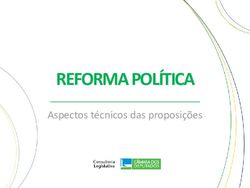 REFORMA POL&Iacute;TICA Aspectos t&eacute;cnicos das proposi&ccedil;&otilde;es - C&acirc;mara dos Deputados
