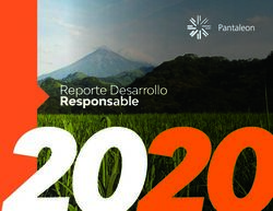 Responsable 2020 Reporte Desarrollo - Pantaleon