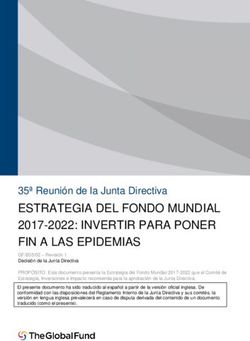 ESTRATEGIA DEL FONDO MUNDIAL 2017-2022: INVERTIR PARA PONER FIN A LAS EPIDEMIAS