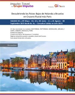 Descubriendo los Países Bajos de Holanda a Bruselas en Crucero Fluvial más Paris - Gi Tours