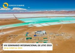 VIII SEMINARIO INTERNACIONAL DE LITIO 2019 - 18 de JUNIO de 2019 - Orocobre Limited