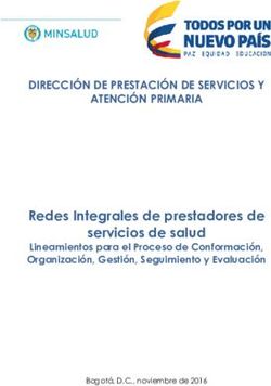Redes Integrales de prestadores de servicios de salud - DIRECCI&Oacute;N DE PRESTACI&Oacute;N DE SERVICIOS Y ATENCI&Oacute;N PRIMARIA - Ministerio de ...