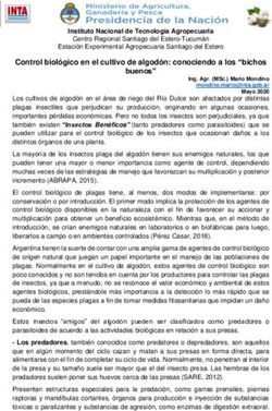 Control biol&oacute;gico en el cultivo de algod&oacute;n: conociendo a los "bichos buenos" - Instituto Nacional de ...