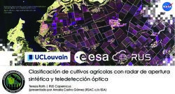 Clasificaci&oacute;n de cultivos agr&iacute;colas con radar de apertura sint&eacute;tica y teledetecci&oacute;n &oacute;ptica