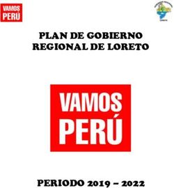 PLAN DE GOBIERNO REGIONAL DE LORETO - PERIODO 2019 2022