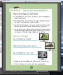 ECOSISTEMAS SOSTENIBLES - Gu&iacute;a para Docentes www.facebook.com/AlrededordeIberoamerica - Organizaci&oacute;n de Estados ...
