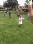 Gratamira Verano 2019 - Los invitamos a ver nuestra p&aacute;gina web www.arak.co.nf y a seguirnos en Facebook como Arak Educaci&oacute;n Experiencial ...
