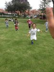 Gratamira Verano 2019 - Los invitamos a ver nuestra p&aacute;gina web www.arak.co.nf y a seguirnos en Facebook como Arak Educaci&oacute;n Experiencial ...