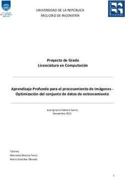 Proyecto de Grado Licenciatura en Computación Aprendizaje Profundo para el procesamiento de Imágenes - Optimización del conjunto de datos de ...