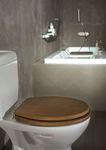TARIFA N32.1 TOILET SEATS SOLID & SOLID+ TARIMAS DUCHA - Cealsa