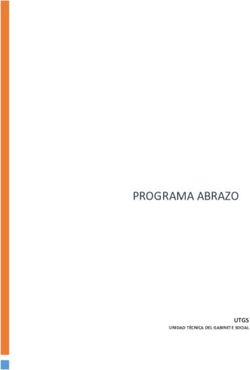 PROGRAMA ABRAZO - UTGS - Gabinete Social