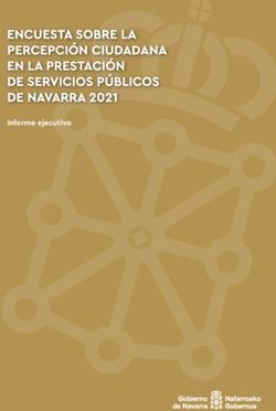 Informe ejecutivo - navarra.es