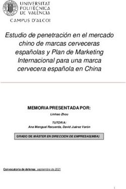 Estudio de penetraci&oacute;n en el mercado chino de marcas cerveceras espa&ntilde;olas y Plan de Marketing Internacional para una marca cervecera espa&ntilde;ola en China
